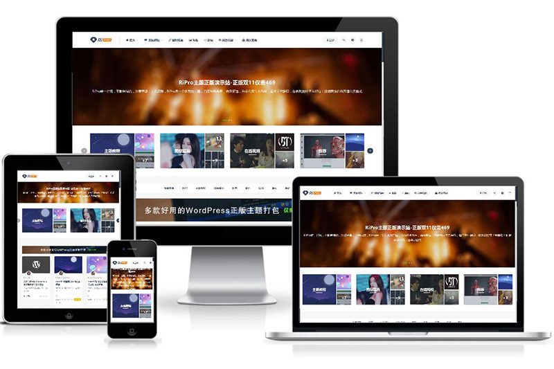 WP 主题模板 Ripro V8.7 免拓展破解版下载站模板 WP 主题模板 Ripro V8.7 免拓展破解版下载站模板